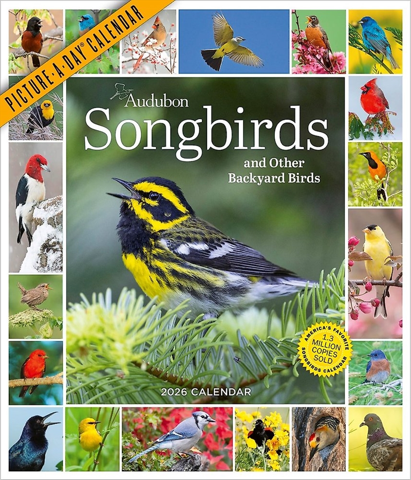 Audubon Songbirds And Other Backyard Birds Picture-A-Day Wall Calendar 2026/Product Detail/Calendars & Diaries