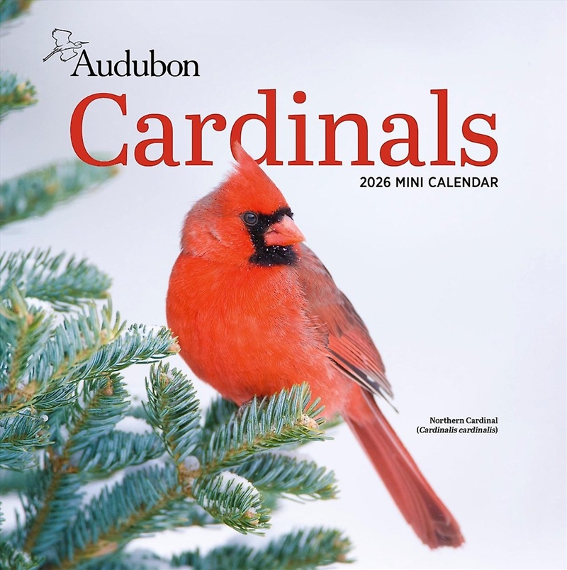 Audubon Cardinals Mini Wall Calendar 2026/Product Detail/Calendars & Diaries