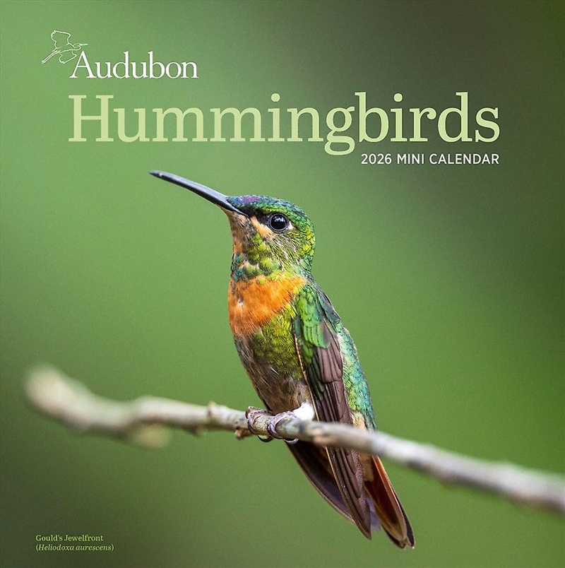 Audubon Hummingbirds Mini Wall Calendar 2026/Product Detail/Calendars & Diaries