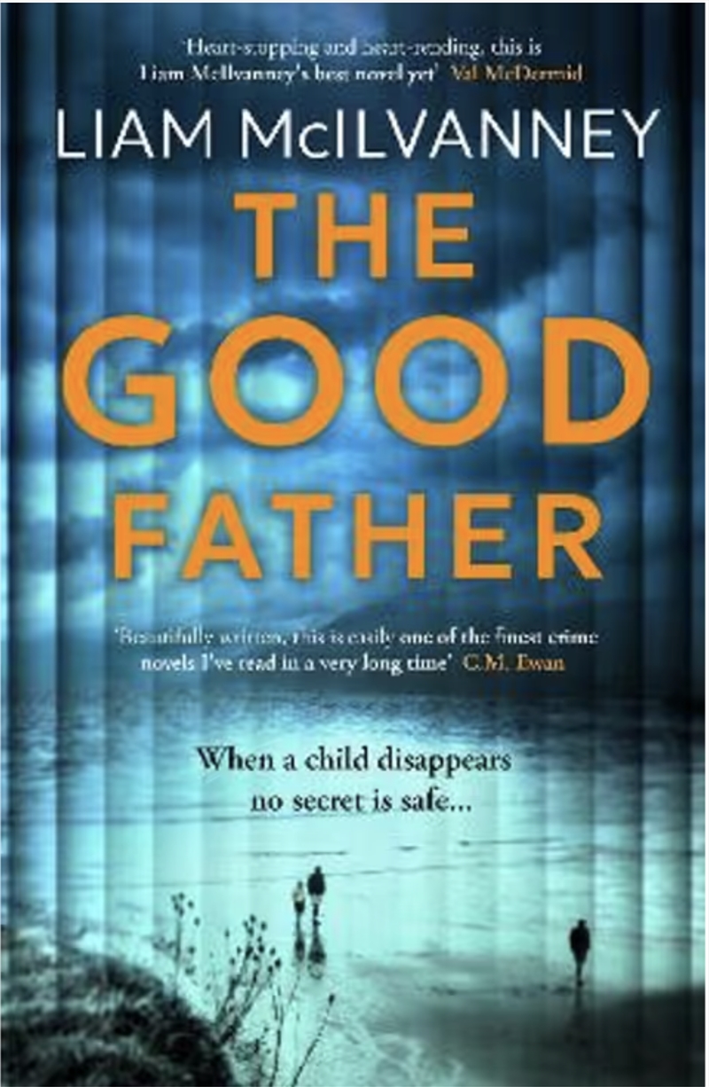 The Good Father/Product Detail/Thrillers & Horror Books