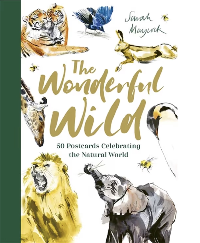 The Wonderful Wild 50 Postcards Celebrating The Natural World/Product Detail/Stationery