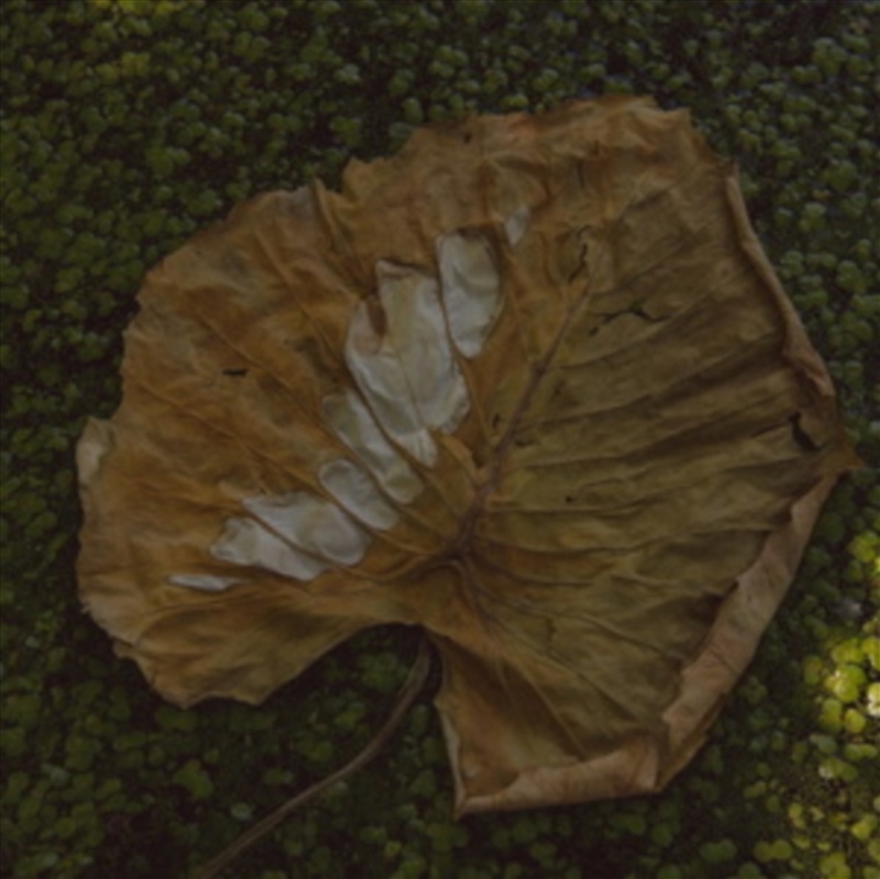 Ne Lepj A Viragra/Product Detail/Dance