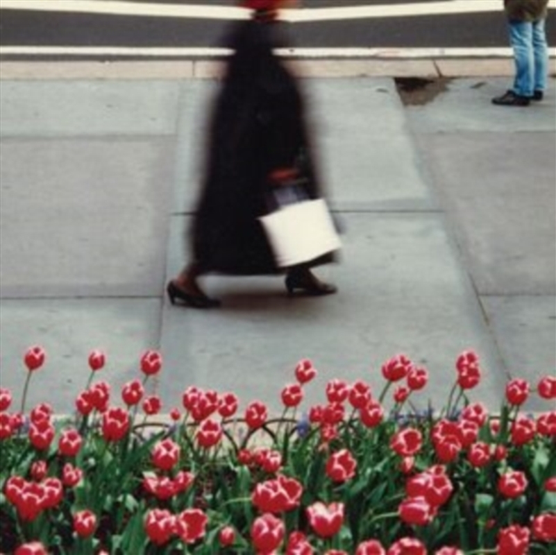 The Dance/Product Detail/Rock/Pop