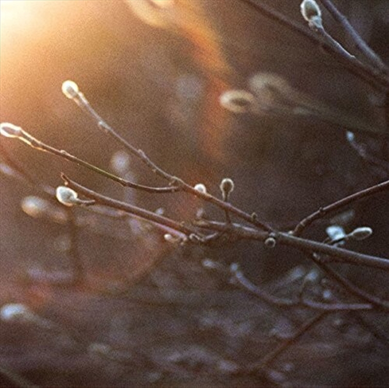 English Ghosts/Product Detail/Dance