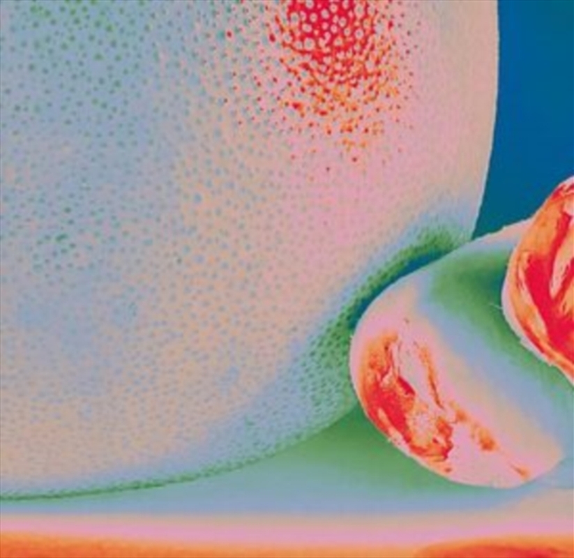 Albedo Massima/Product Detail/Rock/Pop