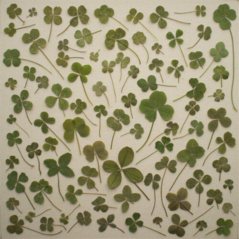 Turned Over To Dreams/Product Detail/Rock/Pop