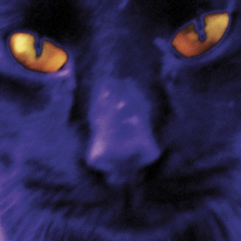 Bobbie's A Girl - Coloured Vinyl/Product Detail/Rock/Pop