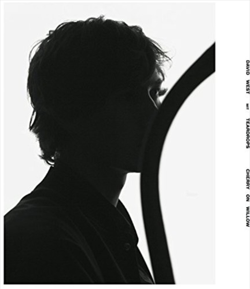 Cherry On Willow              /Product Detail/Rock/Pop