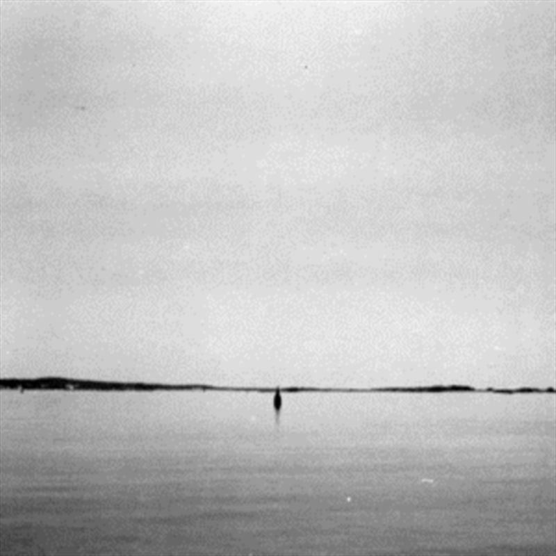 Rose Bay/Product Detail/Dance