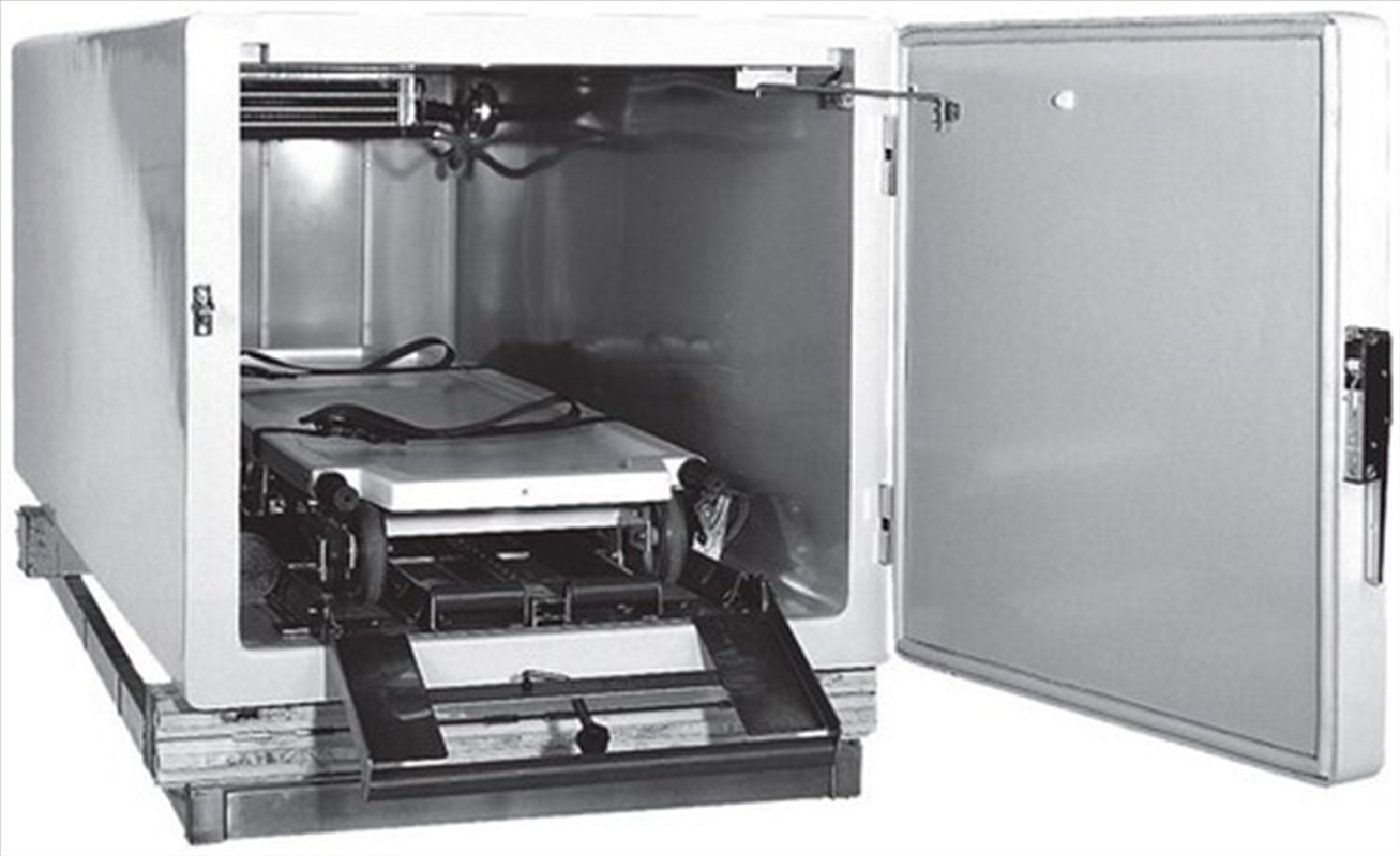 Spit At Me And Wreak Havoc On My Flesh/Product Detail/Rock/Pop