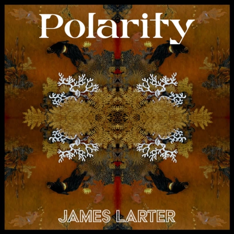 Polarity/Product Detail/Jazz