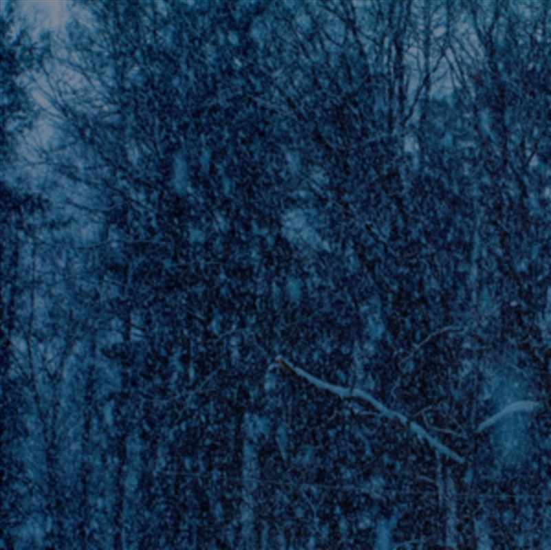 Never E.P./Product Detail/Rock/Pop