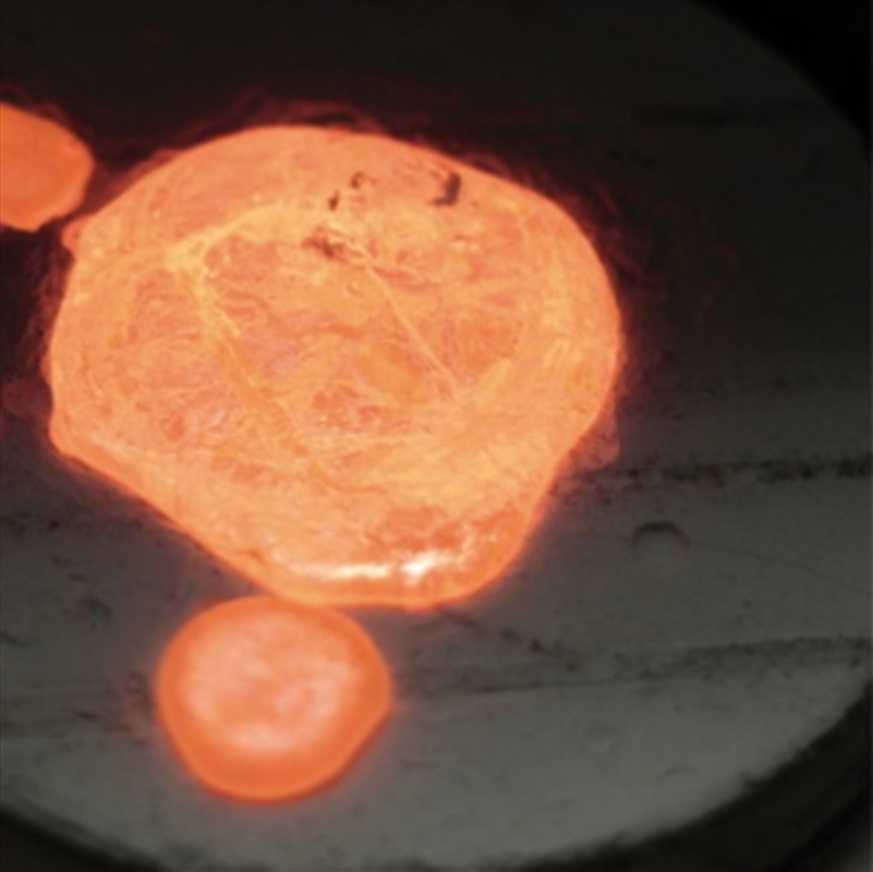 Plasma/Product Detail/Dance