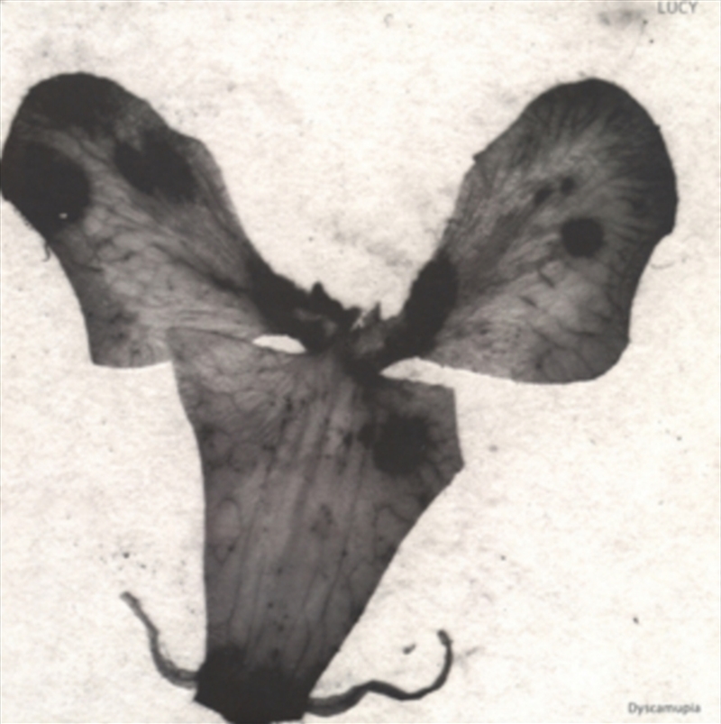 Dyscamupia/Product Detail/Dance