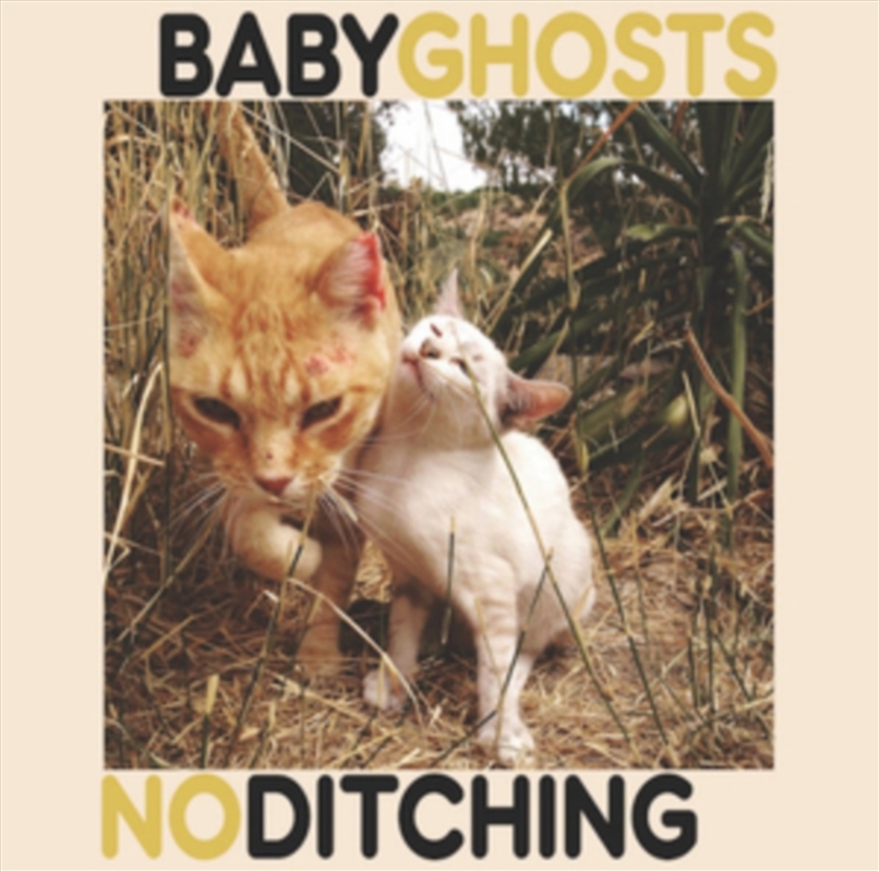 Split Release/Product Detail/Rock/Pop