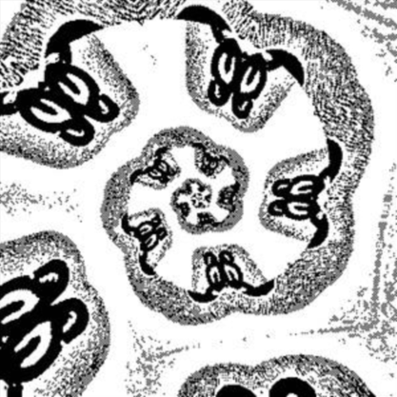 Mad Wee Light/Product Detail/Dance