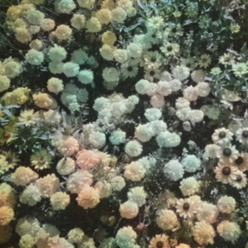 Heart/Product Detail/Dance