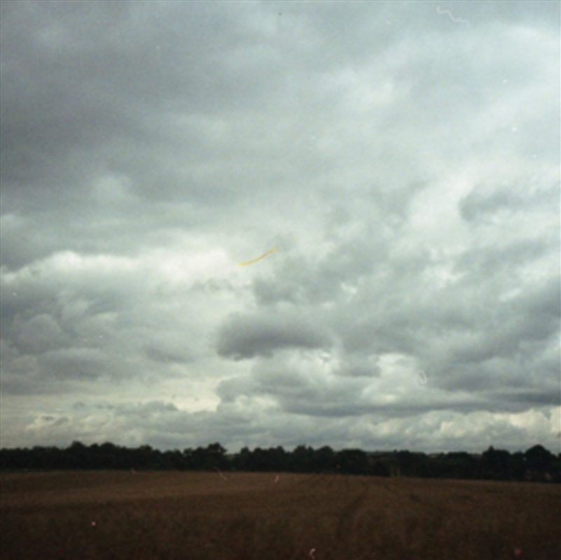 Another/Product Detail/Reggae