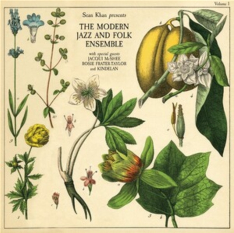 Sean Khan Presents The Modern Folk & Jazz Ensemble/Product Detail/Jazz