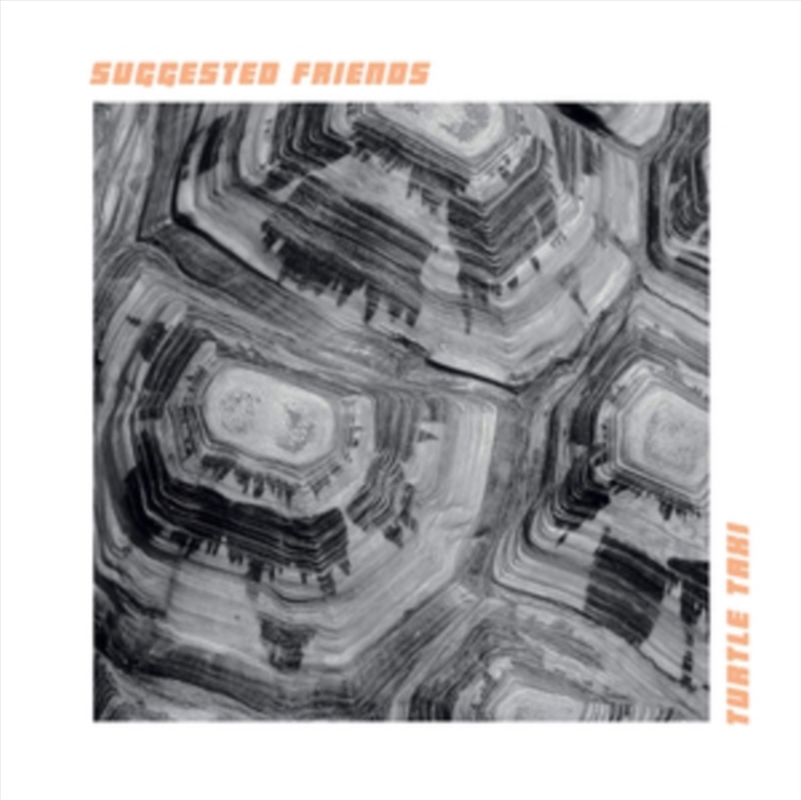 Turtle Taxi/Product Detail/Rock/Pop