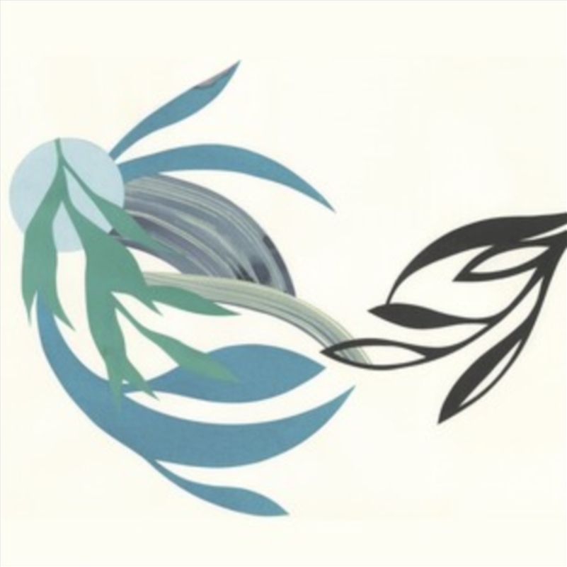 The Natural Lines/Product Detail/Rock/Pop