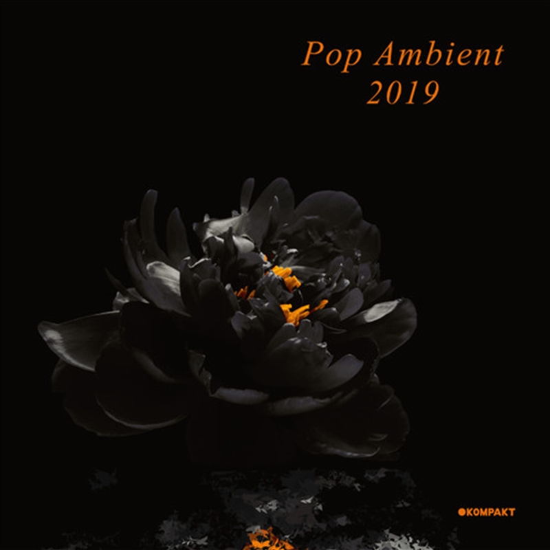 Pop Ambient 2019/Product Detail/Dance