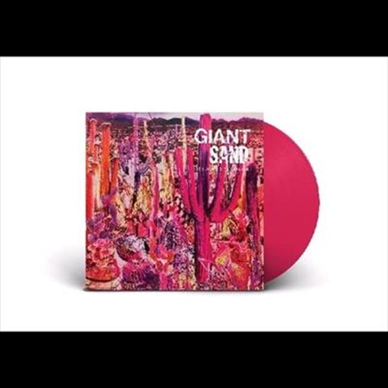 Recounting The Ballads Of Thin Line Men/Product Detail/Rock/Pop