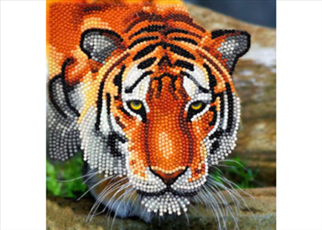 CrystalArt - Tiger 18x18cm Card/Product Detail/Arts & Craft