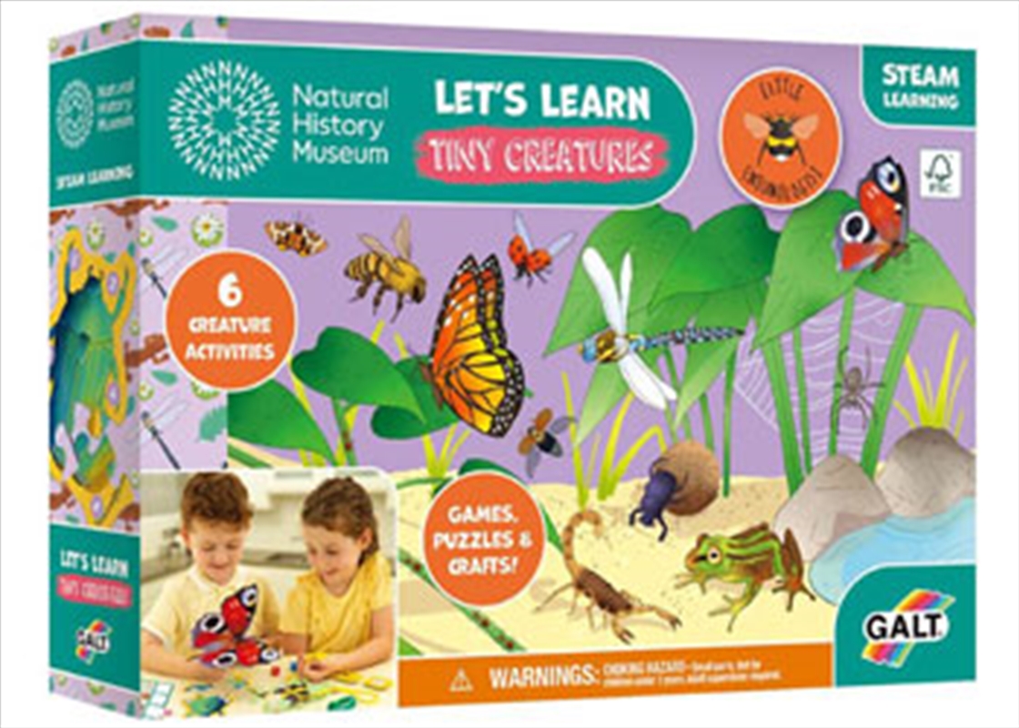 Galt - Let's Learn - Tiny Creatures/Product Detail/Arts & Craft