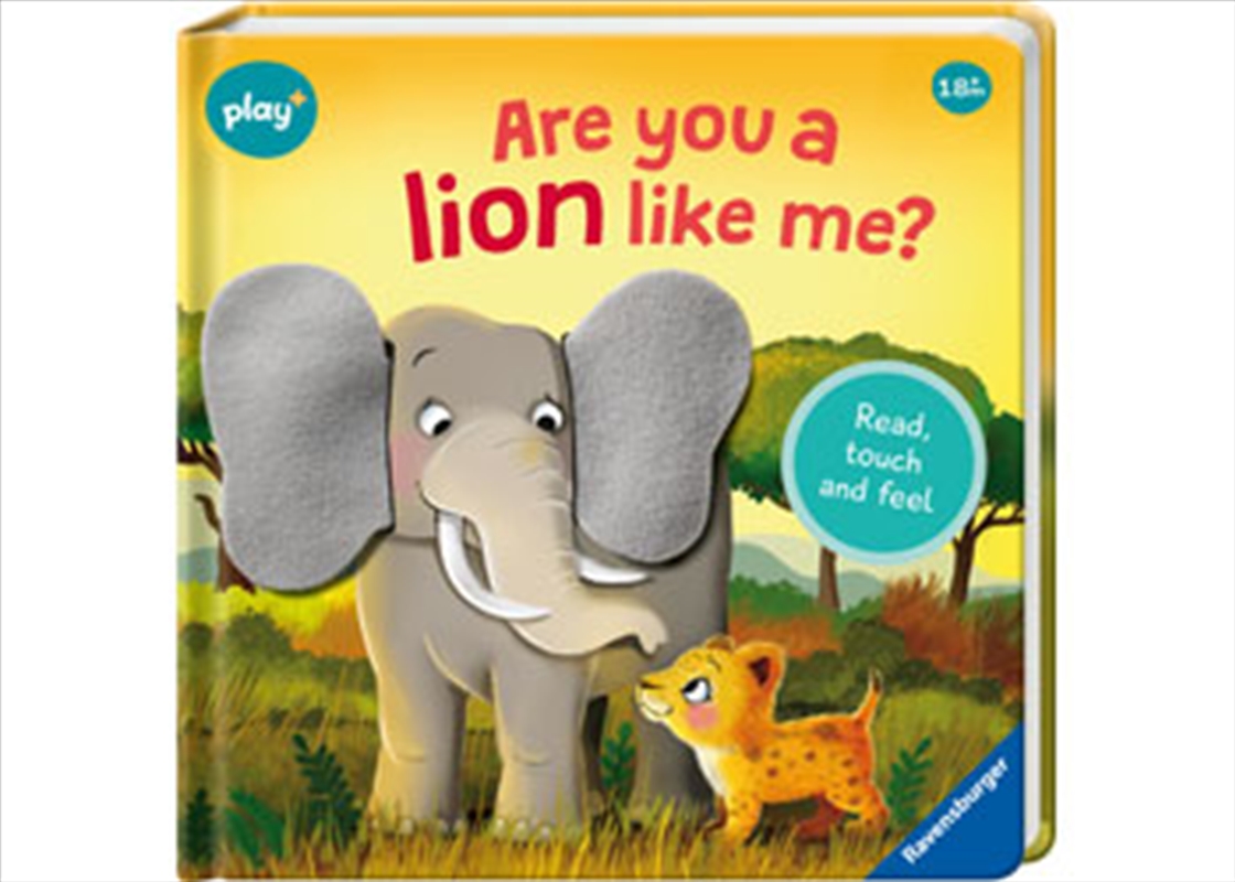 Play+ Are you a Lion like me?/Product Detail/Early Childhood Fiction Books