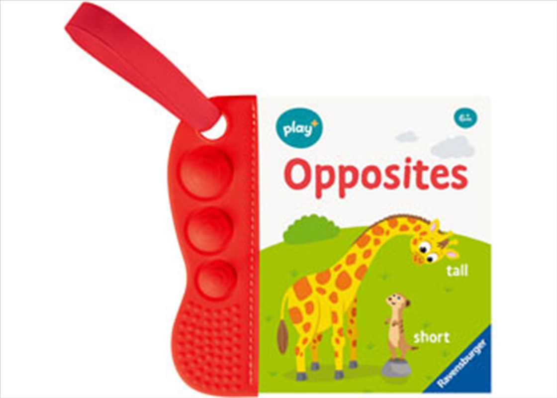 Play+ Flip & Pop: Opposites/Product Detail/Early Childhood Fiction Books