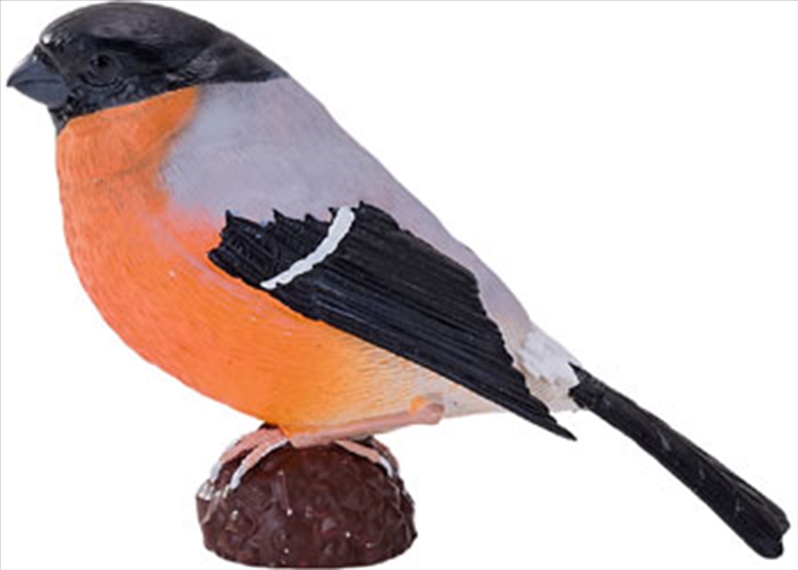 Mojo - Bullfinch 2025/Product Detail/Figurines