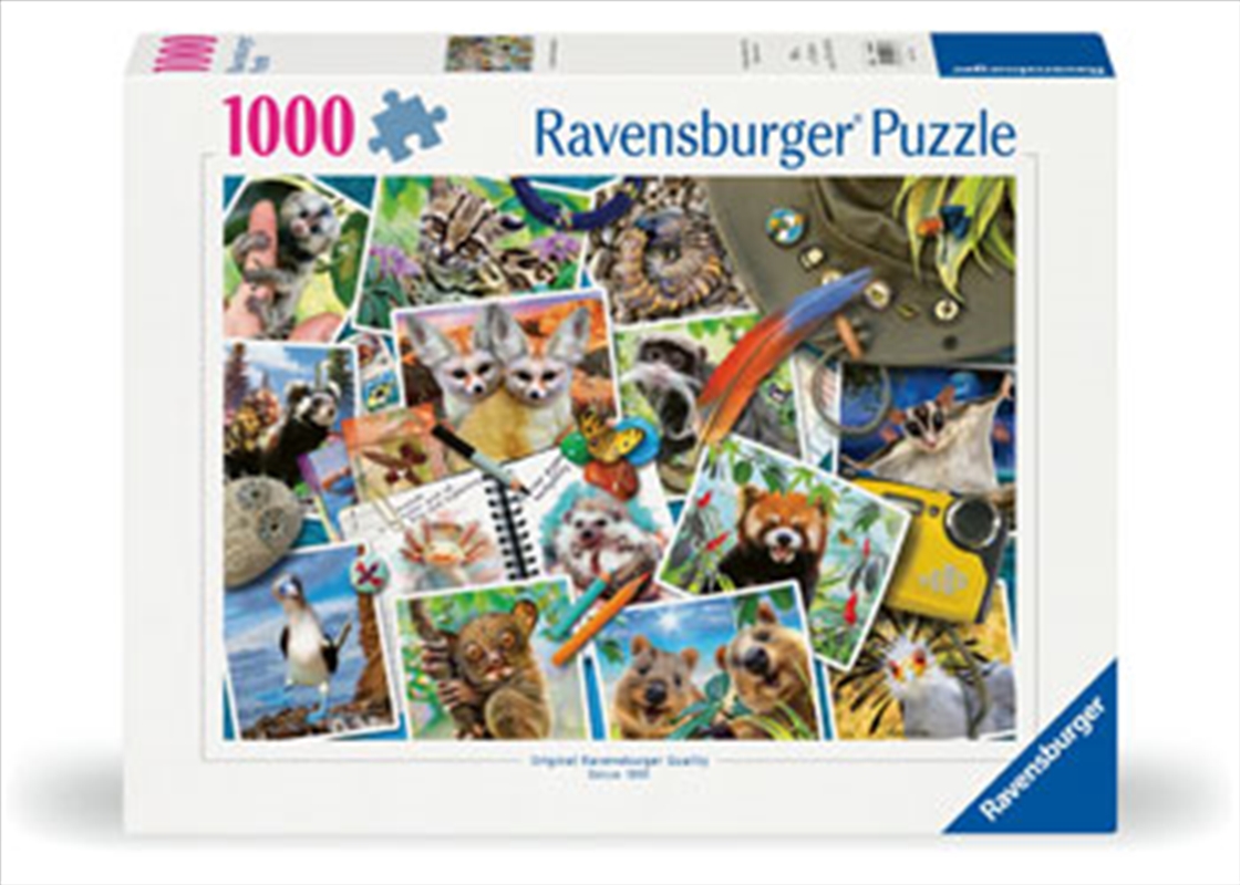 A Traveller Puzzle 1000 Piece/Product Detail/Jigsaw Puzzles