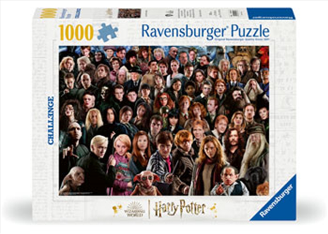 Challenge Harry Potter Puzzle 1000 Piece/Product Detail/Jigsaw Puzzles