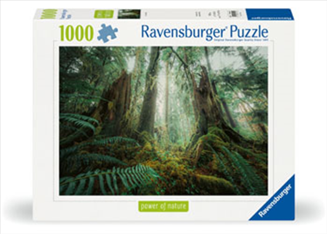 In The Forest Puzzle 1000 Piece/Product Detail/Jigsaw Puzzles