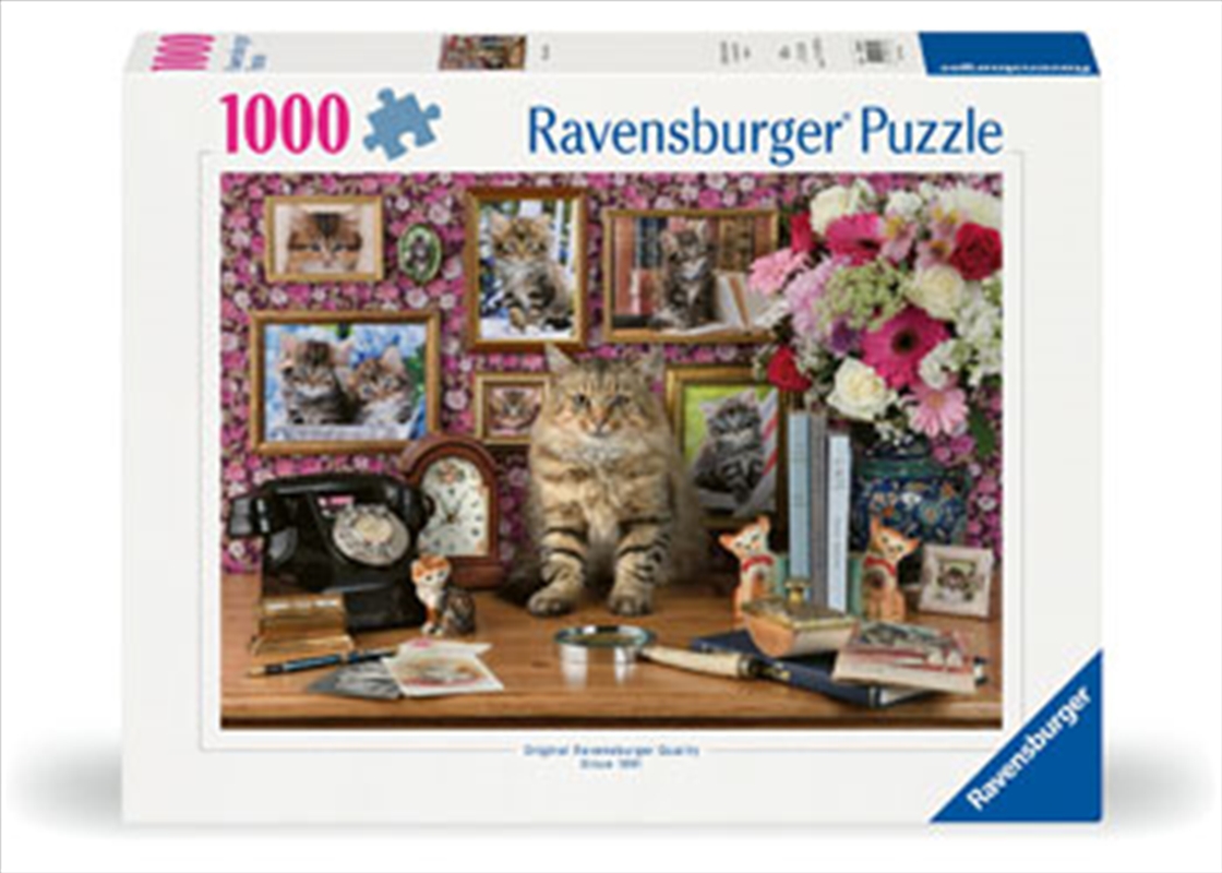 My Cute Kitty Puzzle 1000 Piece/Product Detail/Jigsaw Puzzles