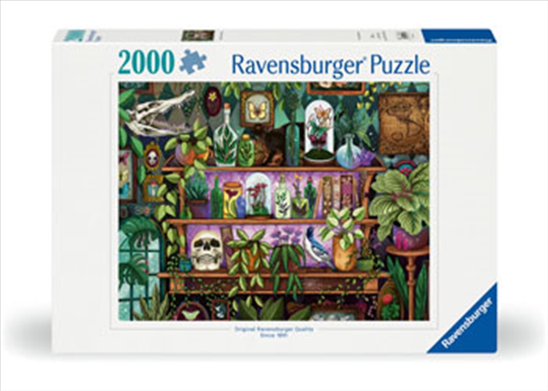A Witch's Favorite Things 2000 Piece/Product Detail/Jigsaw Puzzles