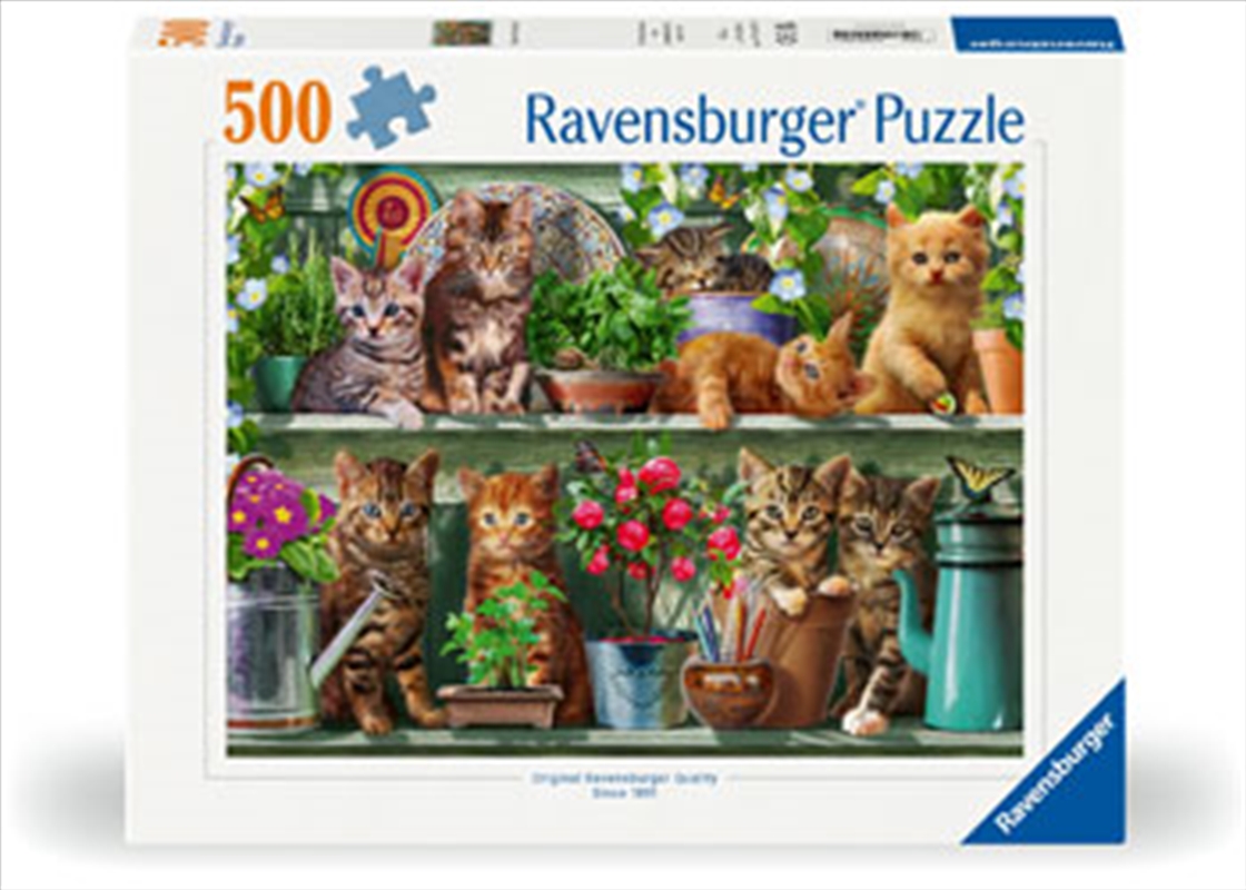 Cats On The She Puzzle 500 Piece/Product Detail/Jigsaw Puzzles
