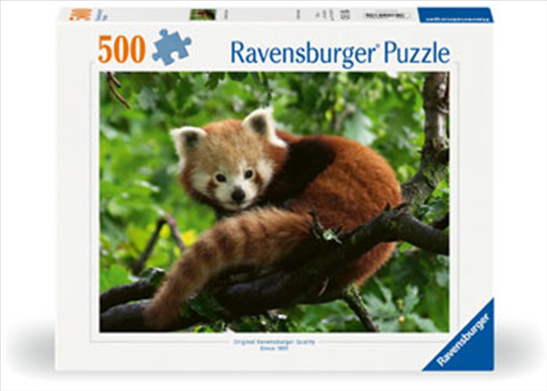 Cute Red Panda Puzzle 500 Piece/Product Detail/Jigsaw Puzzles