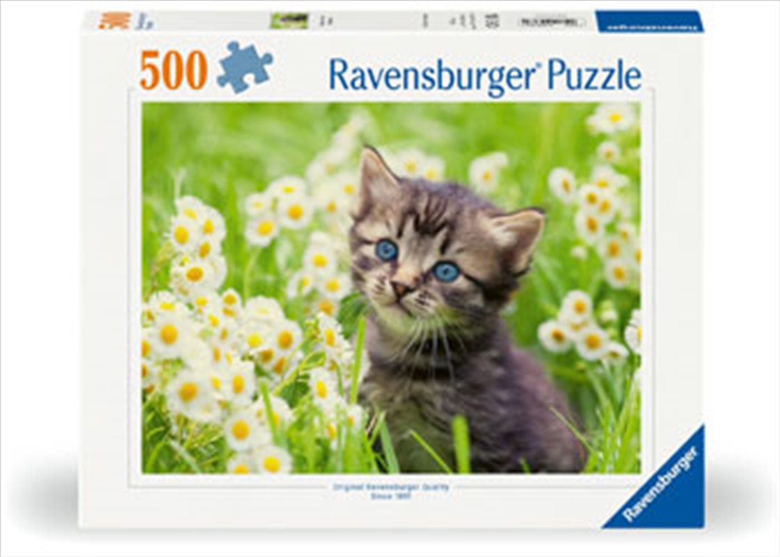 Kitten In The Meadow Puzzle 500 Piece/Product Detail/Jigsaw Puzzles