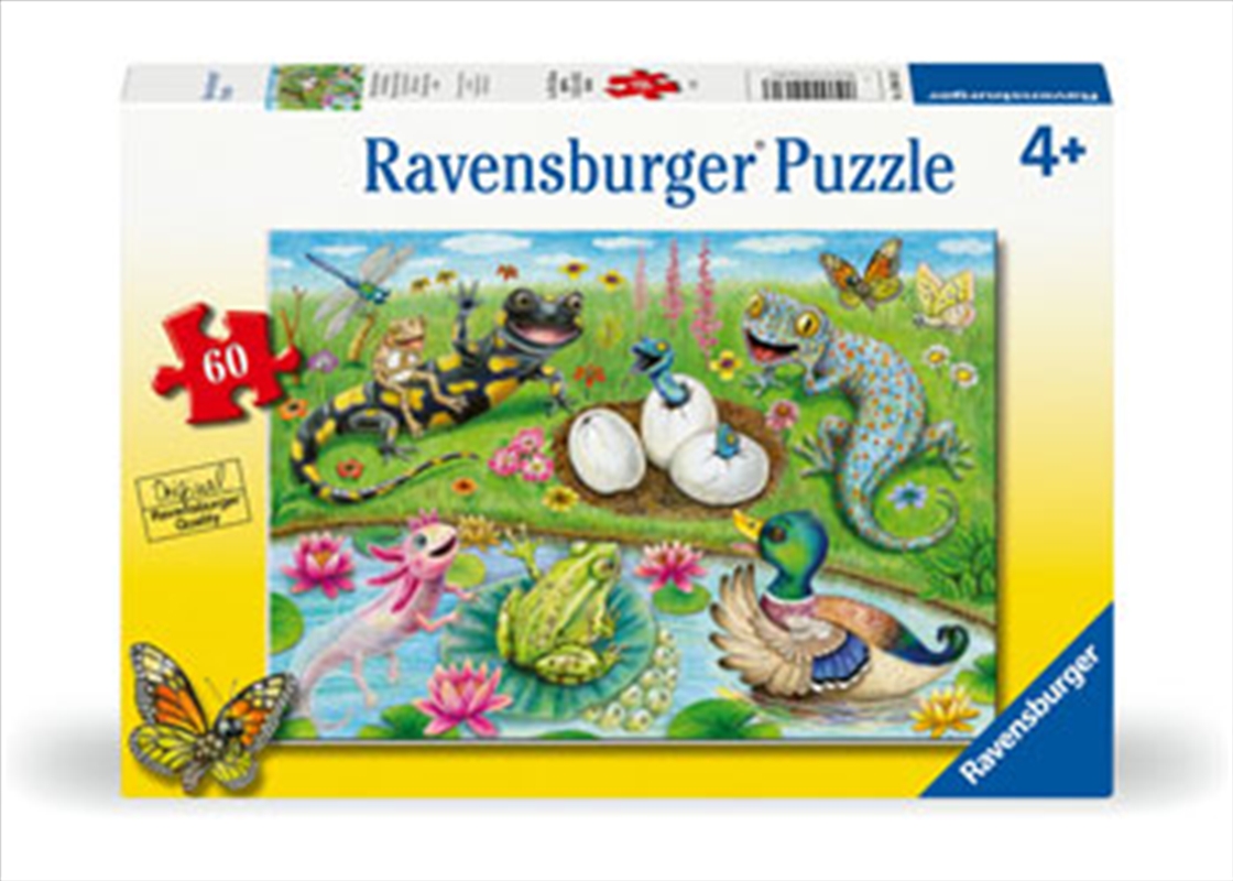 Hello Hatchlings 60 Piece/Product Detail/Jigsaw Puzzles