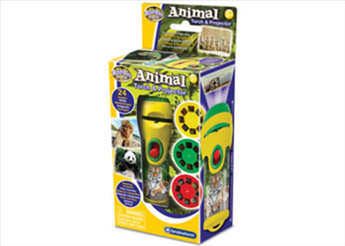 Brainstorm - Animal Torch & Projector/Product Detail/Educational