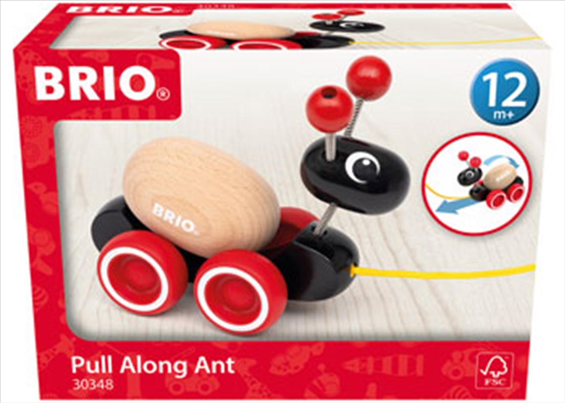 BRIO - Ant with Rolling Egg 2 pieces/Product Detail/Toys