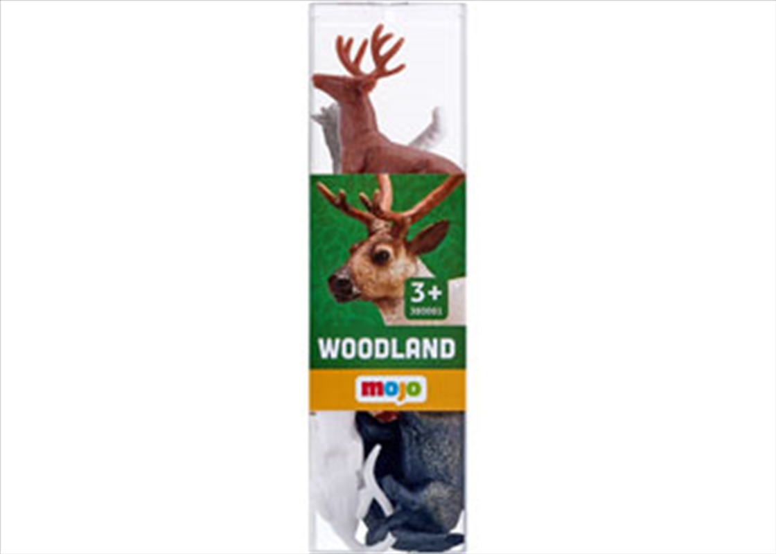Mojo - Woodland 12pc Animals (SENT AT RANDOM)/Product Detail/Toys