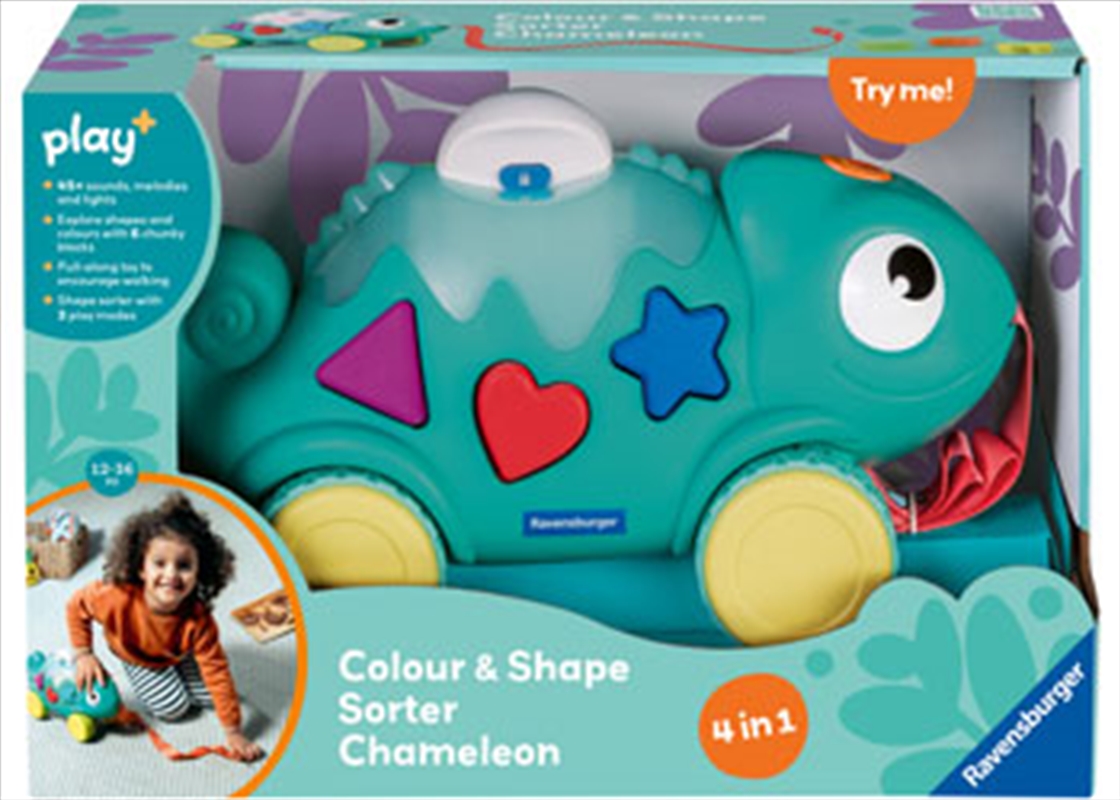 Play+ Colour & Shape Sorter: Chameleon/Product Detail/Toys