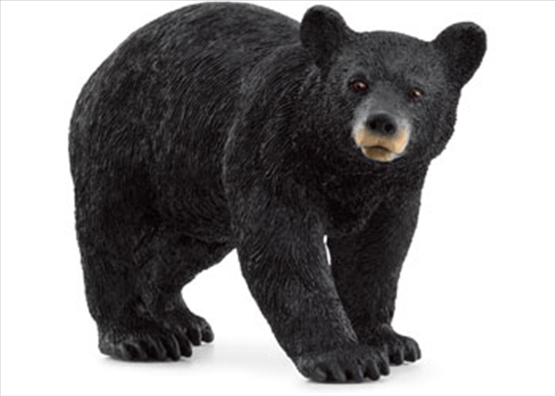 Schleich - American Black Bear/Product Detail/Toys