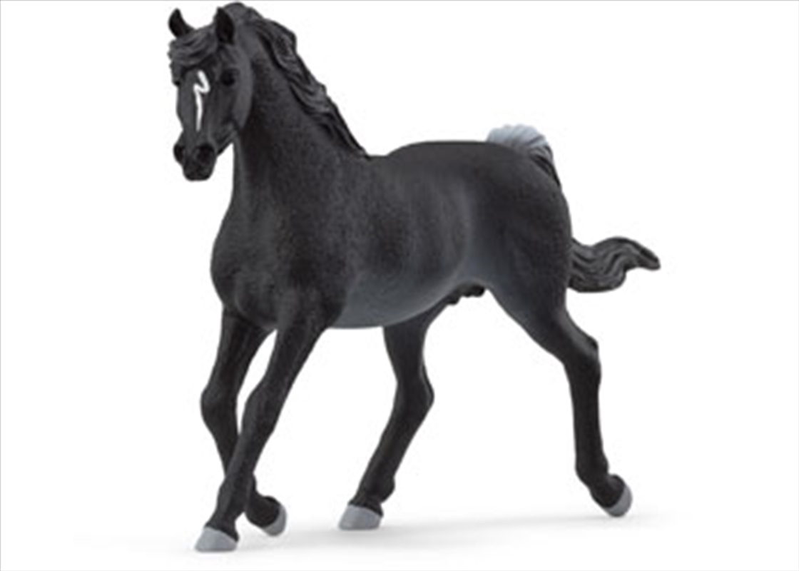 Schleich - Arab Stallion/Product Detail/Toys