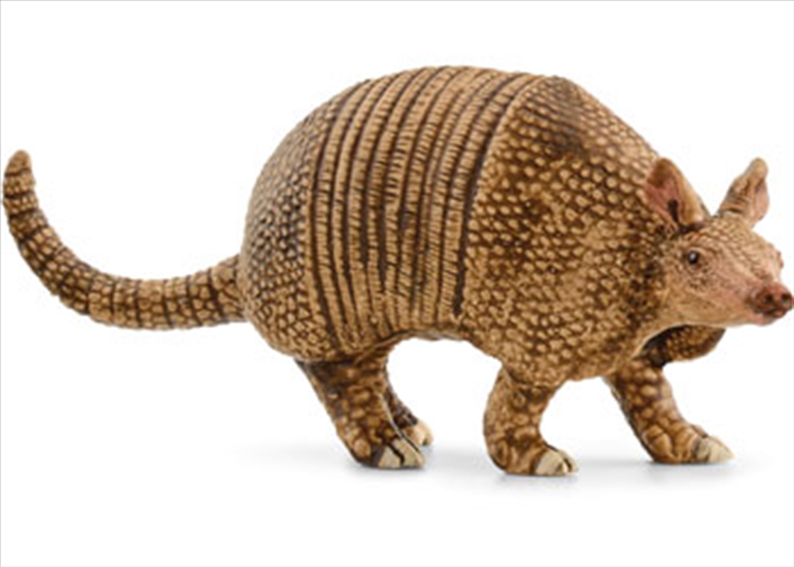Schleich - Armadillo/Product Detail/Toys