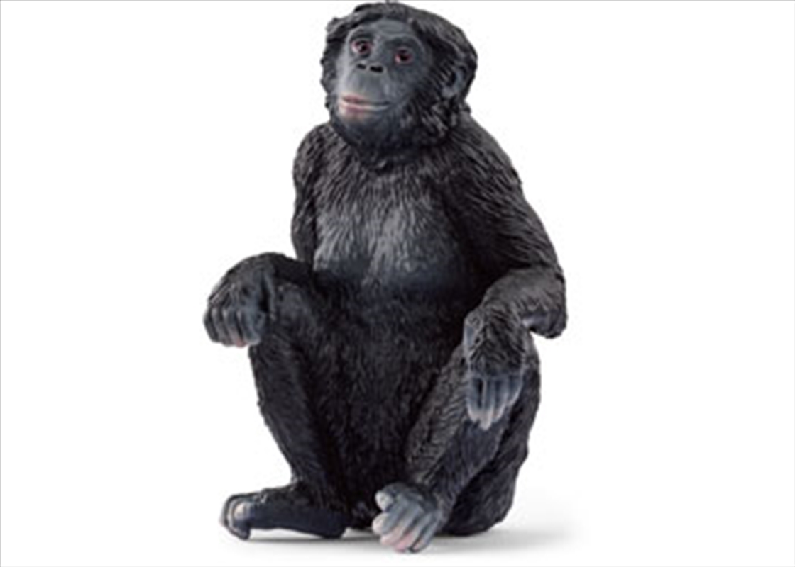 Schleich - Bonobo Female/Product Detail/Toys