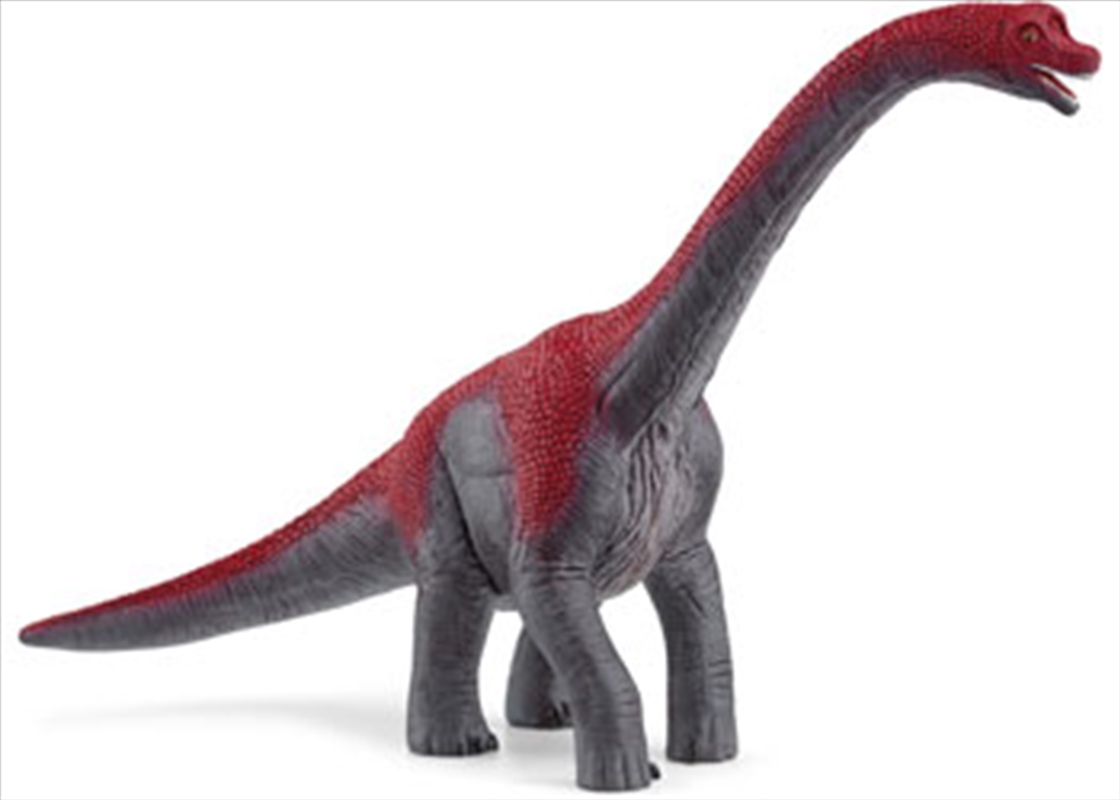 Schleich - Brachiosaurus 2024 release/Product Detail/Toys